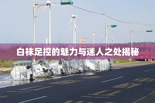 白袜足控的魅力与迷人之处揭秘
