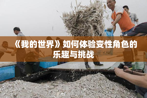 《我的世界》如何体验变性角色的乐趣与挑战