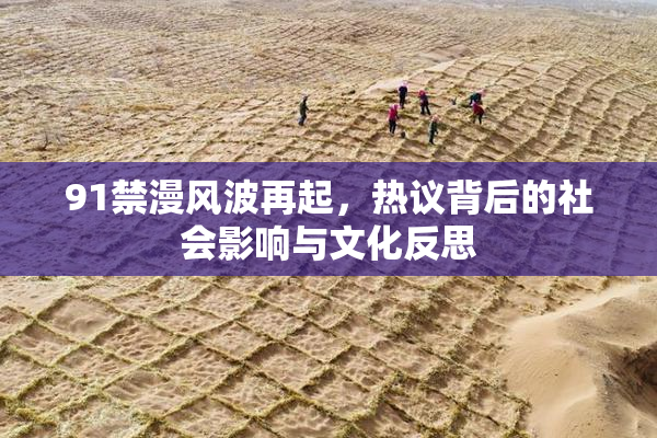 91禁漫风波再起，热议背后的社会影响与文化反思