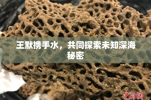 王默携手水，共同探索未知深海秘密