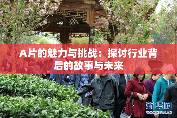 A片的魅力与挑战：探讨行业背后的故事与未来