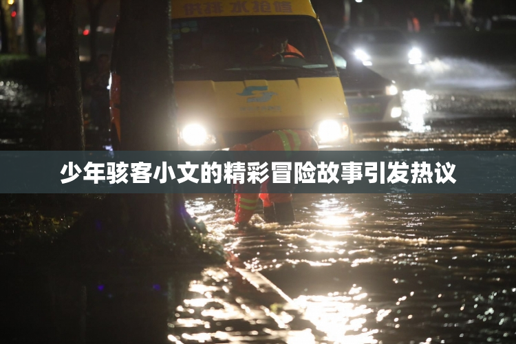 少年骇客小文的精彩冒险故事引发热议