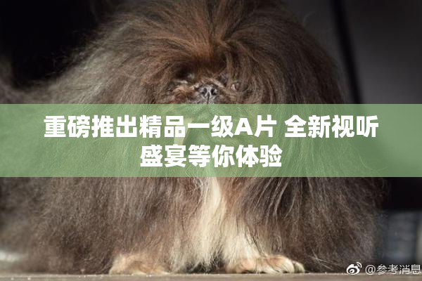 重磅推出精品一级A片 全新视听盛宴等你体验