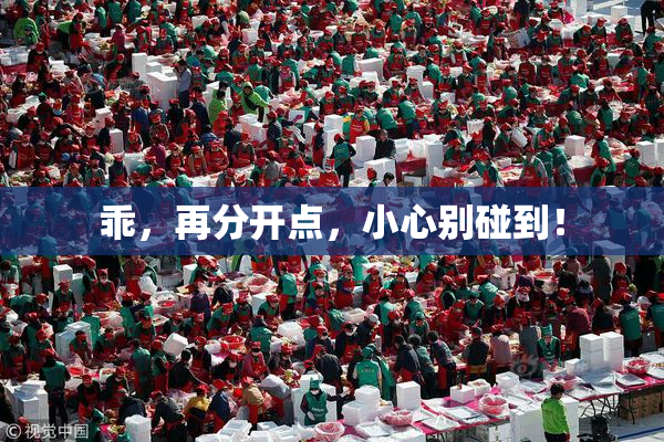 乖，再分开点，小心别碰到！