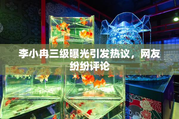 李小冉三级曝光引发热议，网友纷纷评论