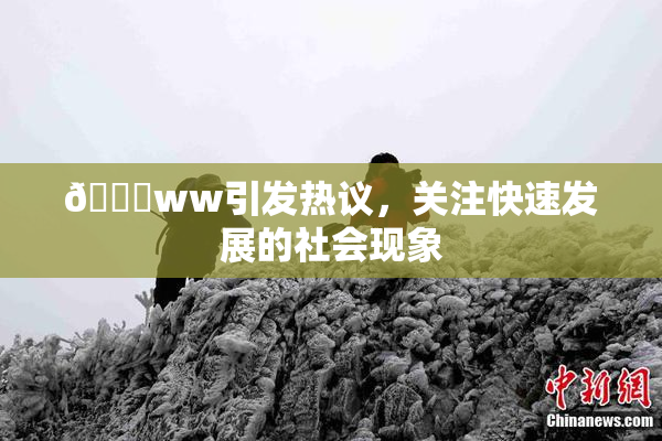 🔞ww引发热议，关注快速发展的社会现象