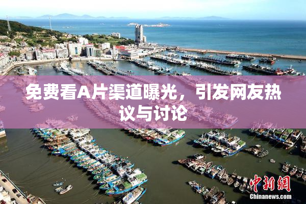 免费看A片渠道曝光，引发网友热议与讨论