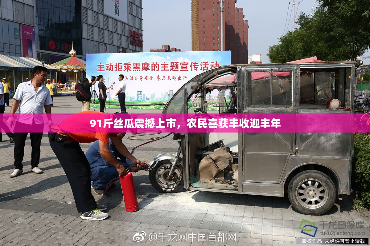 91斤丝瓜震撼上市，农民喜获丰收迎丰年