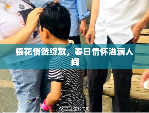 樱花悄然绽放，春日情怀溢满人间