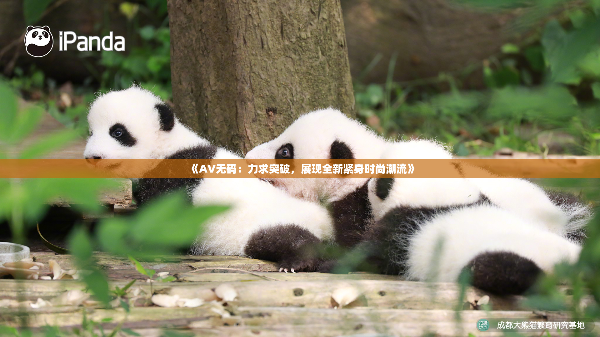 《AV无码：力求突破，展现全新紧身时尚潮流》