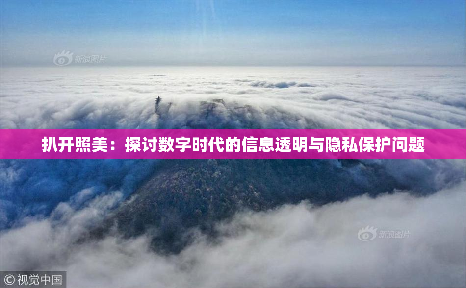 扒开照美：探讨数字时代的信息透明与隐私保护问题