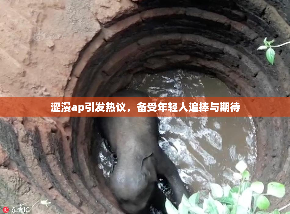 涩漫ap引发热议，备受年轻人追捧与期待