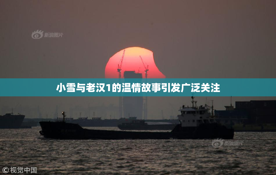 小雪与老汉1的温情故事引发广泛关注
