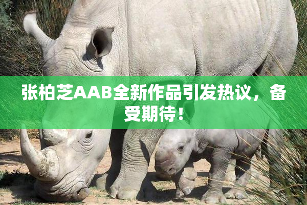 张柏芝AAB全新作品引发热议，备受期待！