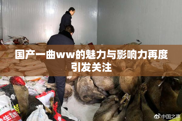 国产一曲ww的魅力与影响力再度引发关注