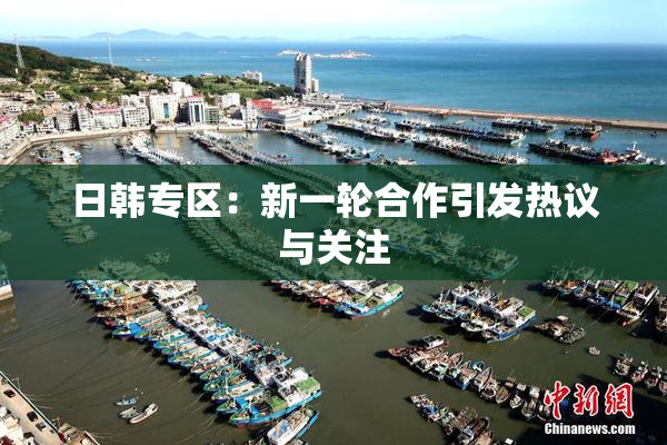 日韩专区：新一轮合作引发热议与关注
