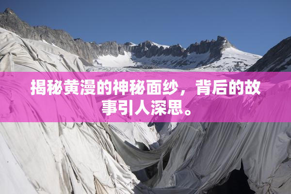 揭秘黄漫的神秘面纱，背后的故事引人深思。