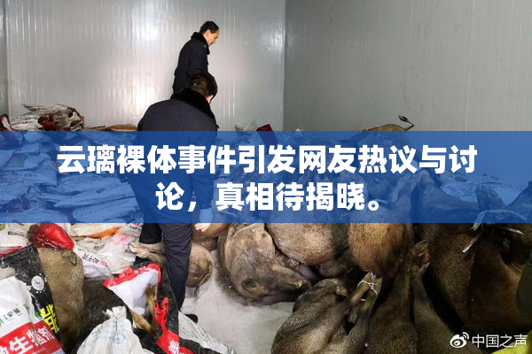 云璃裸体事件引发网友热议与讨论，真相待揭晓。