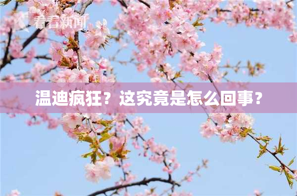 温迪疯狂？这究竟是怎么回事？