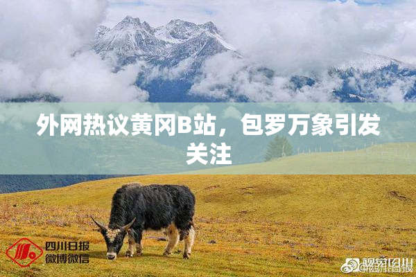 外网热议黄冈B站，包罗万象引发关注