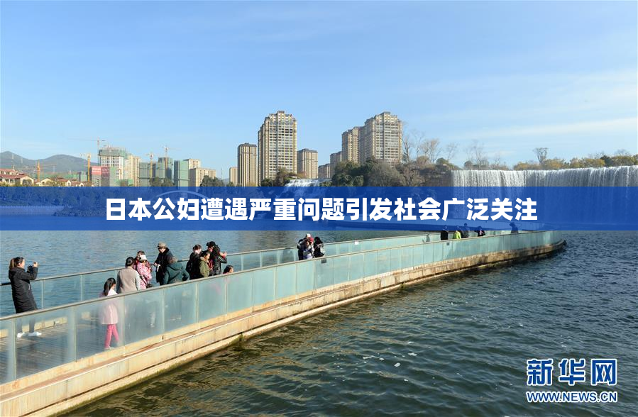 日本公妇遭遇严重问题引发社会广泛关注
