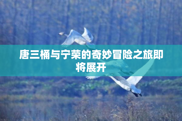 唐三桶与宁荣的奇妙冒险之旅即将展开