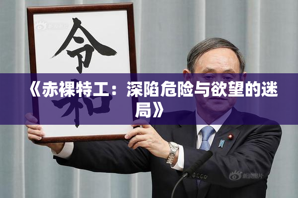 《赤裸特工：深陷危险与欲望的迷局》