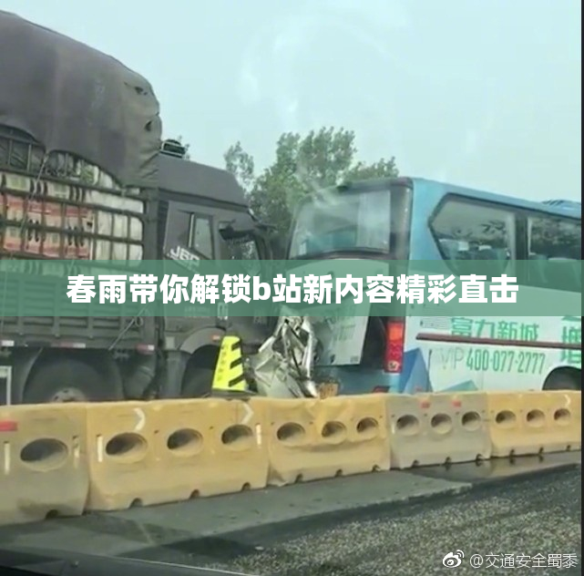 春雨带你解锁b站新内容精彩直击