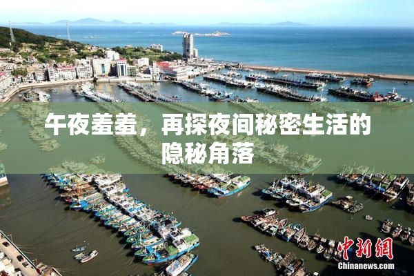 午夜羞羞，再探夜间秘密生活的隐秘角落