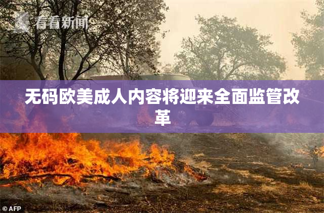 无码欧美成人内容将迎来全面监管改革