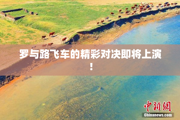 罗与路飞车的精彩对决即将上演！