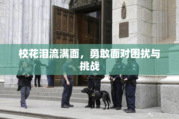 校花泪流满面，勇敢面对困扰与挑战