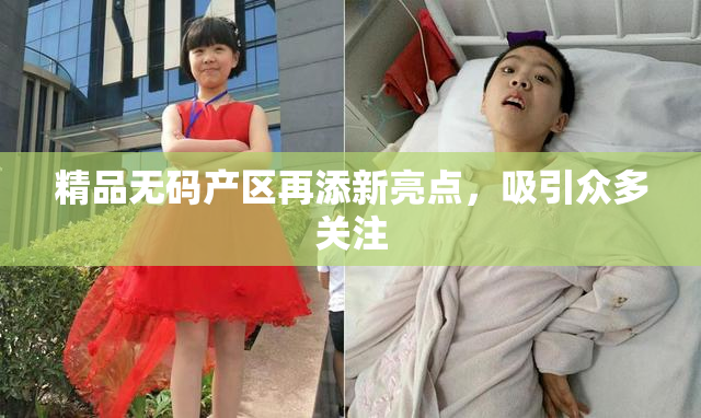 精品无码产区再添新亮点，吸引众多关注