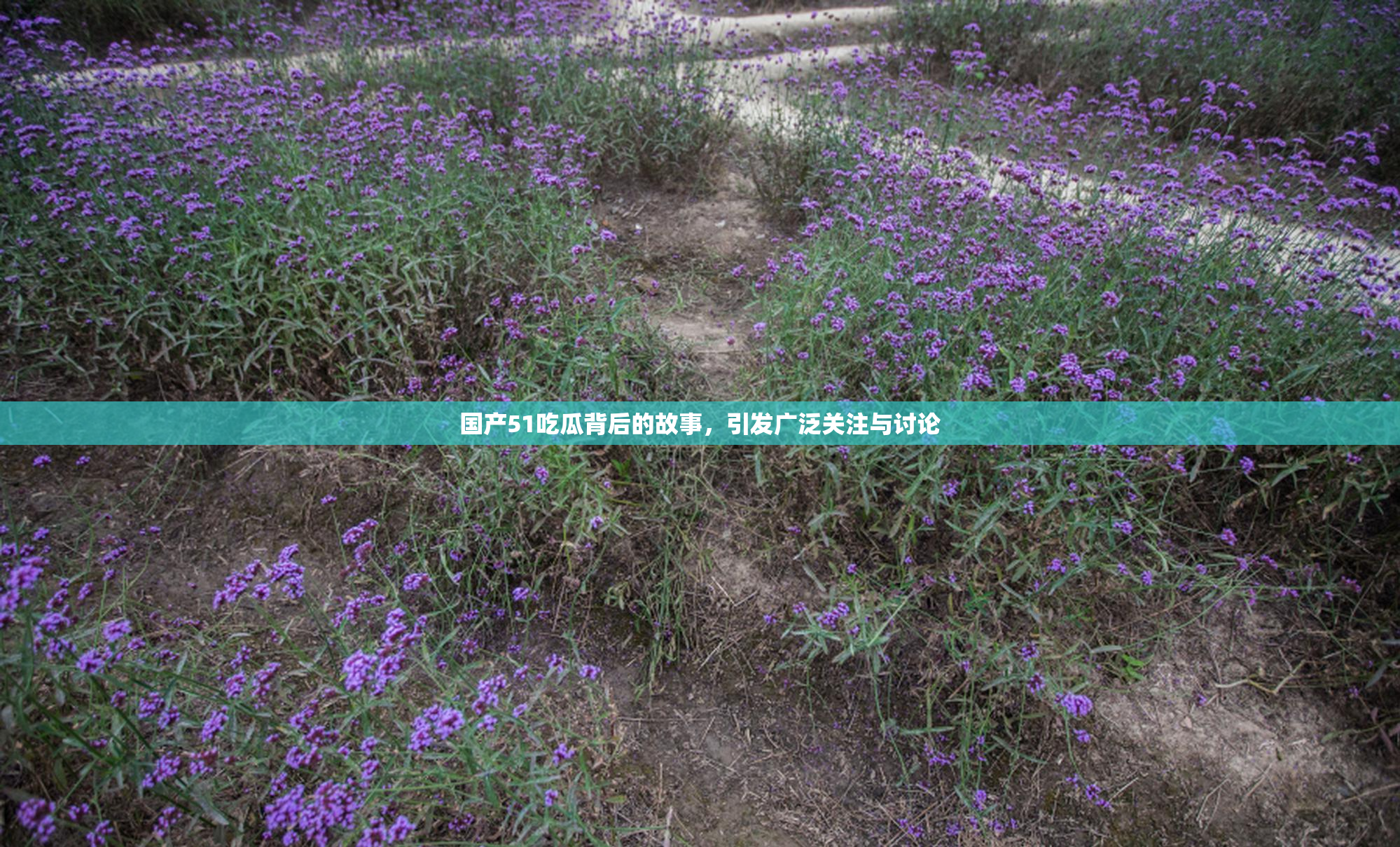 国产51吃瓜背后的故事，引发广泛关注与讨论