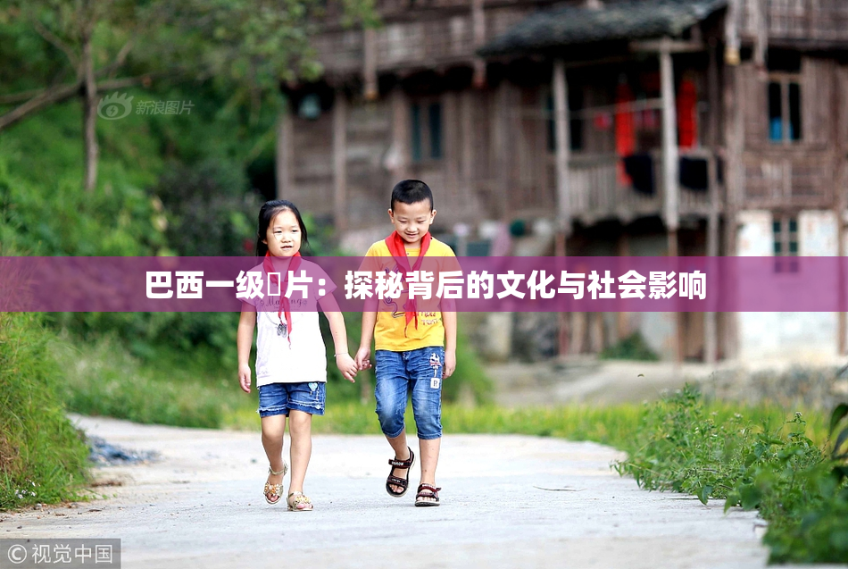巴西一级婬片：探秘背后的文化与社会影响