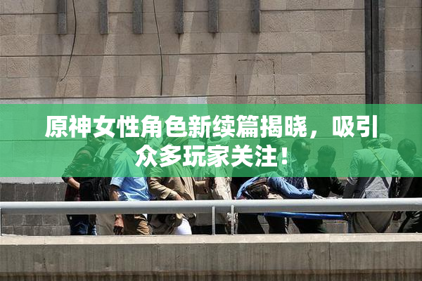 原神女性角色新续篇揭晓，吸引众多玩家关注！
