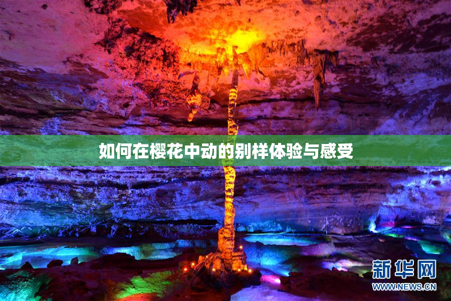 如何在樱花中动的别样体验与感受