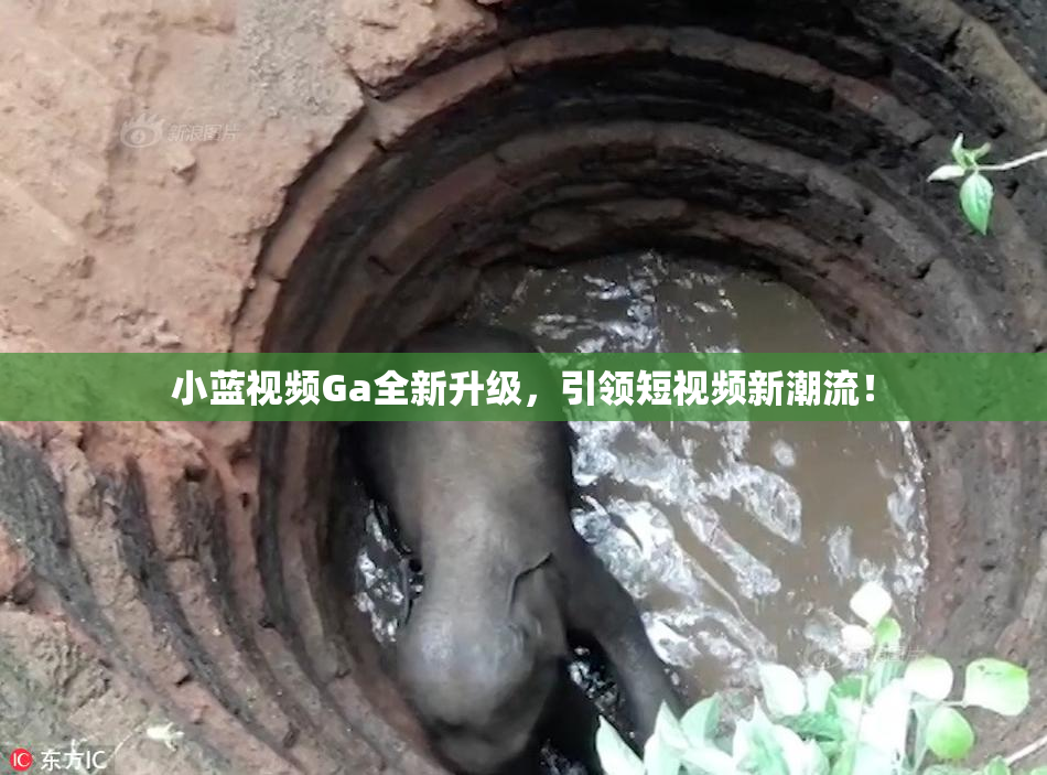 小蓝视频Ga全新升级，引领短视频新潮流！