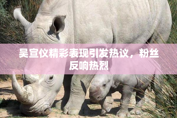 吴宣仪精彩表现引发热议，粉丝反响热烈