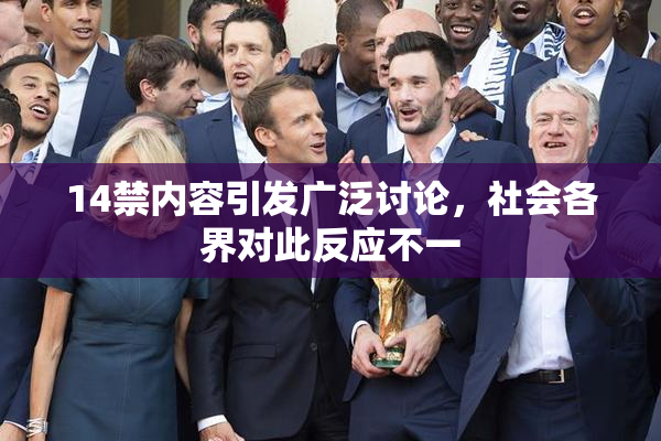 14禁内容引发广泛讨论，社会各界对此反应不一