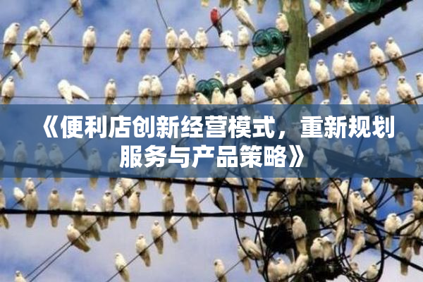 《便利店创新经营模式，重新规划服务与产品策略》