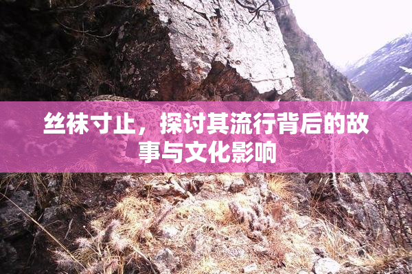 丝袜寸止，探讨其流行背后的故事与文化影响