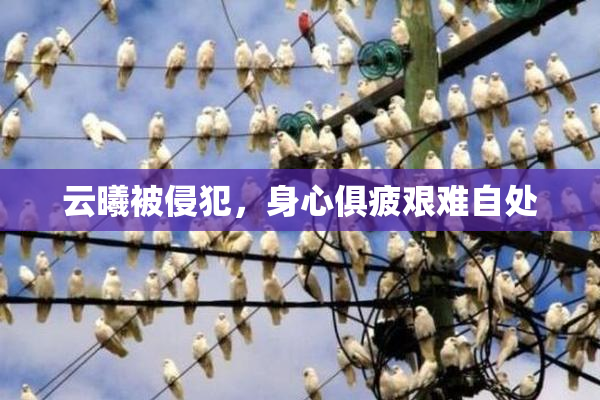 云曦被侵犯，身心俱疲艰难自处