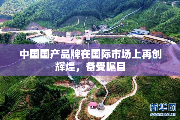 中国国产品牌在国际市场上再创辉煌，备受瞩目