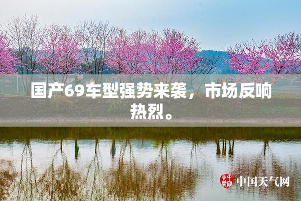 国产69车型强势来袭，市场反响热烈。