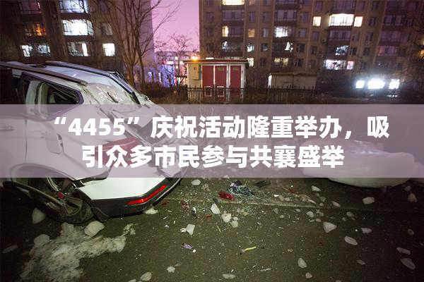 “4455”庆祝活动隆重举办，吸引众多市民参与共襄盛举