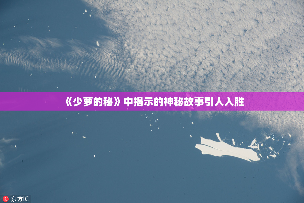 《少萝的秘》中揭示的神秘故事引人入胜