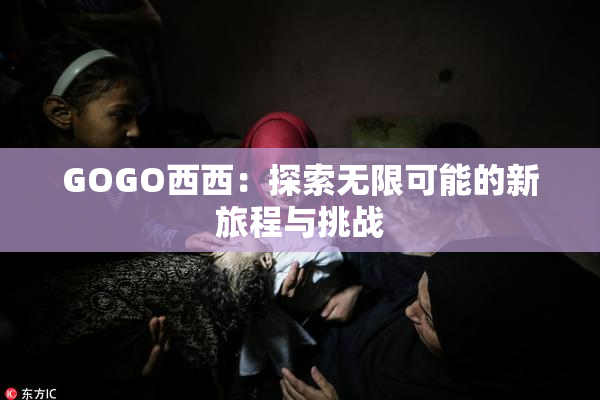GOGO西西：探索无限可能的新旅程与挑战