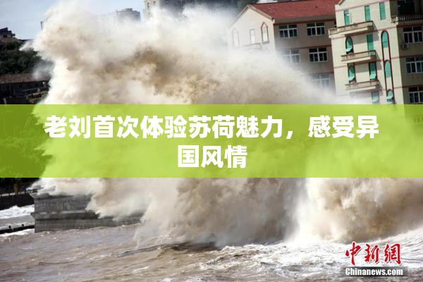 老刘首次体验苏荷魅力，感受异国风情