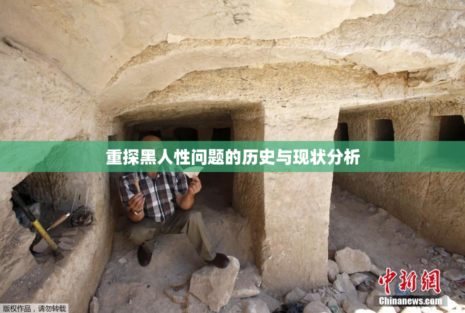 重探黑人性问题的历史与现状分析